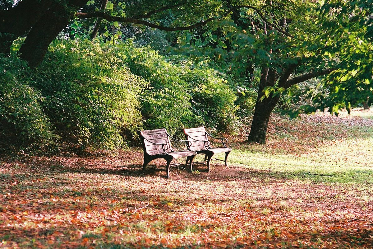 ベンチ - Search / X