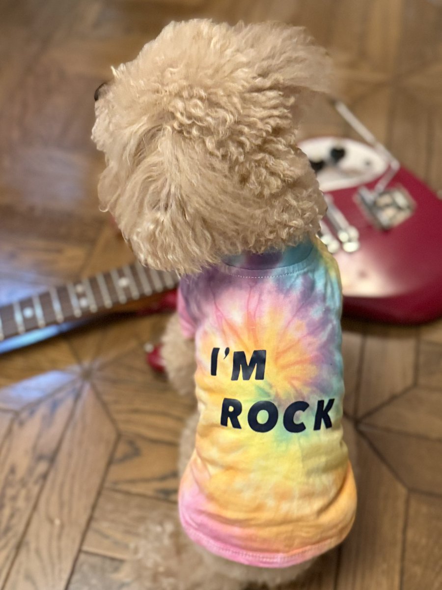 I'M ROCK！!