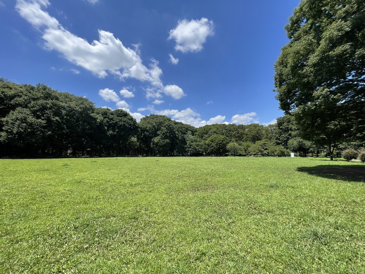砧公園を訪れました。

とても暑いので水分補給をしながら少しだけ散策しました🥤 とても広い公園なので涼しくなってから隈なく散策したいと思います！

 #Midori #自然 #公園 #アウトドア #自然情報ポータルサイト