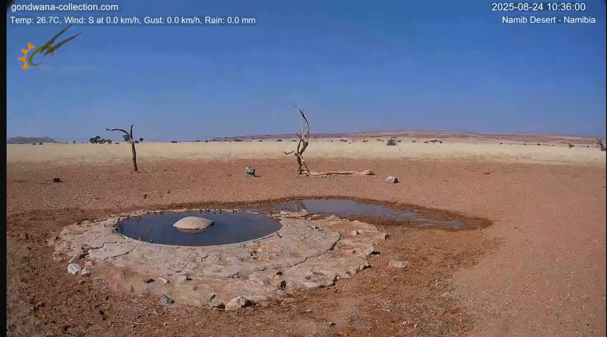 ナミブ砂漠の方が涼しいねぇ(26.7度)