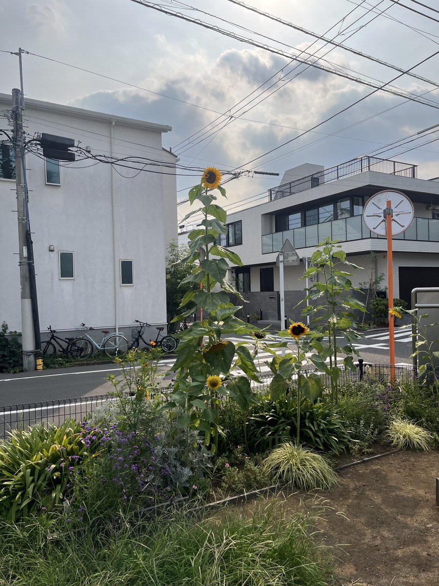 かっこつけたい自分、認められたい自分、こうなりたくないと思う姿に近づいている自分がいて、
でもそこから抜け出したい自分がいる。

俺にとって演劇は自分を広げていくためのもの。変わりたい自分を信じたい。

もっと知りたい、もっと経験したい、もっと先に行きたい。んな感じです✌️（赤松真治）