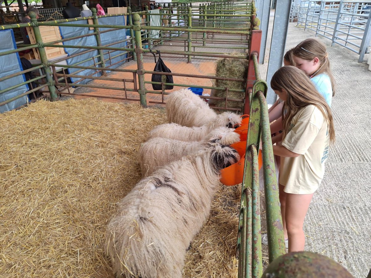 Talgarth Matters tweet media