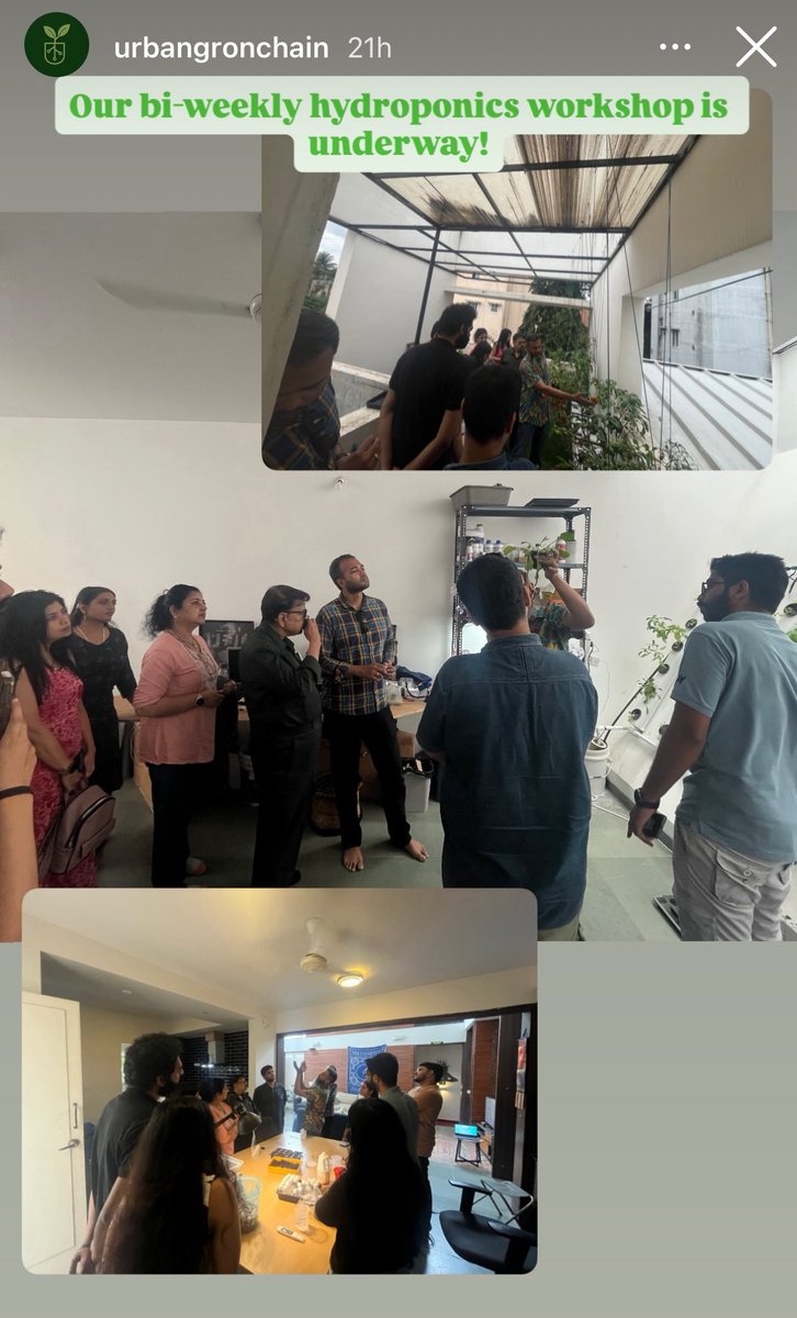 Excited to see <a href="/urbangronchain/">UrbanGro</a> building one of the most intentional communities on Instagram. 🌱

Not fast, not flashy but slow, deliberate, and real. Something most of Web3 misses.

Because if your early community isn’t forged with intention, it’ll vanish the moment a shinier