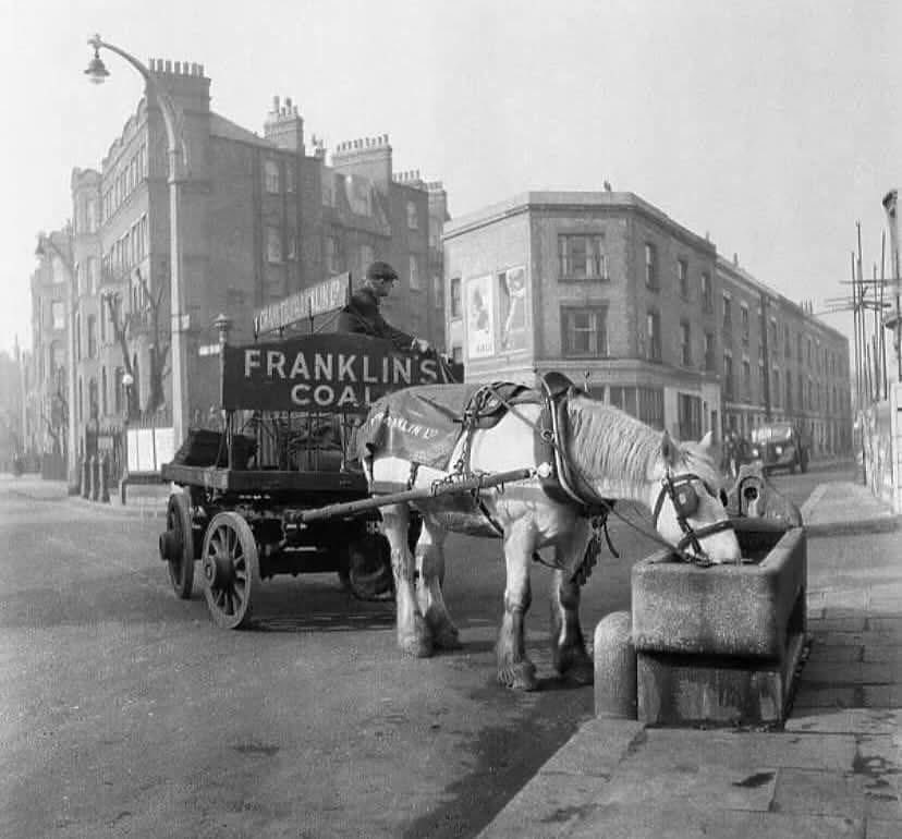 A horse drinking from a stone trough, somewhere in London’s East End. 
Circa 1940s/50s.