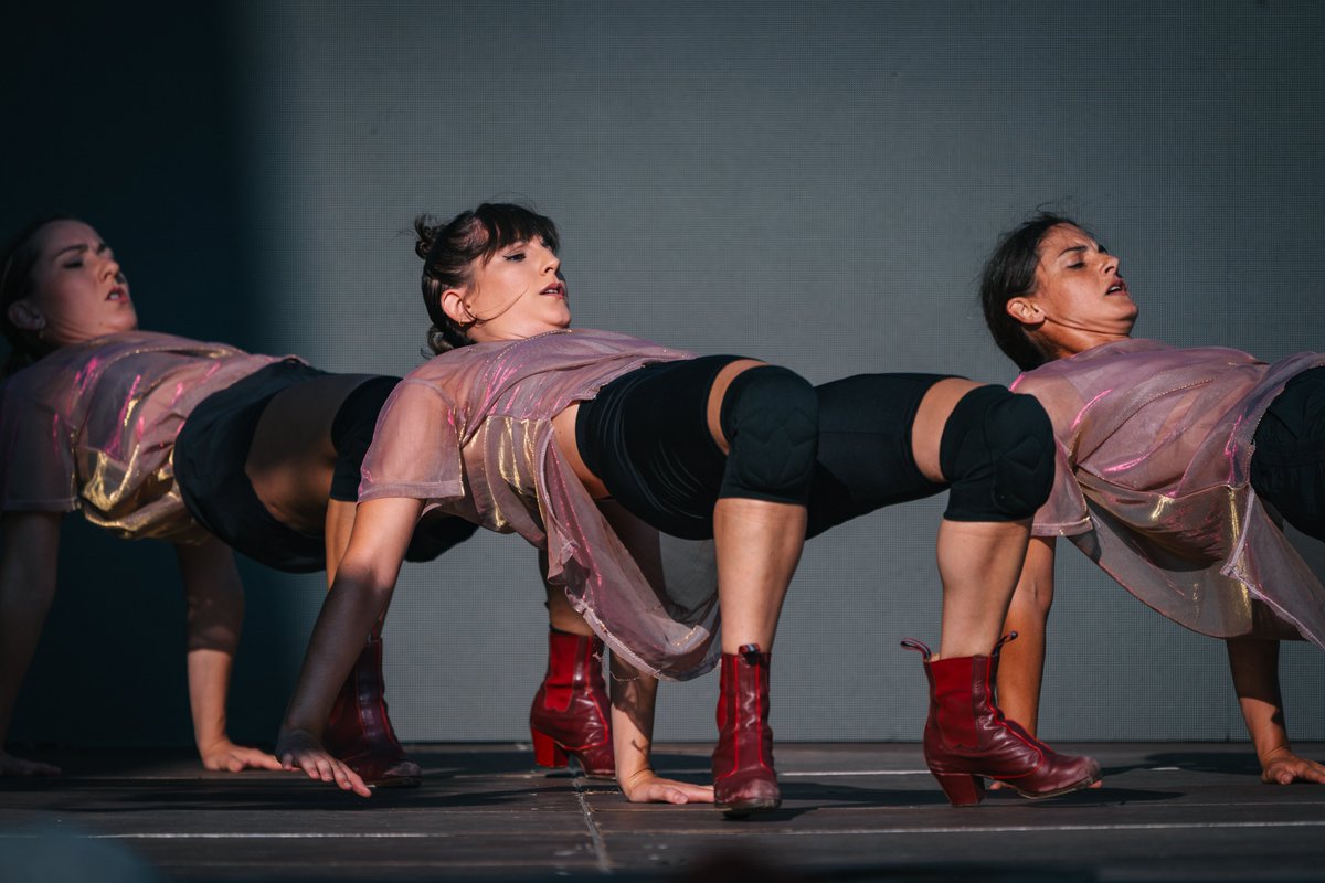 Ésdansa tweet media