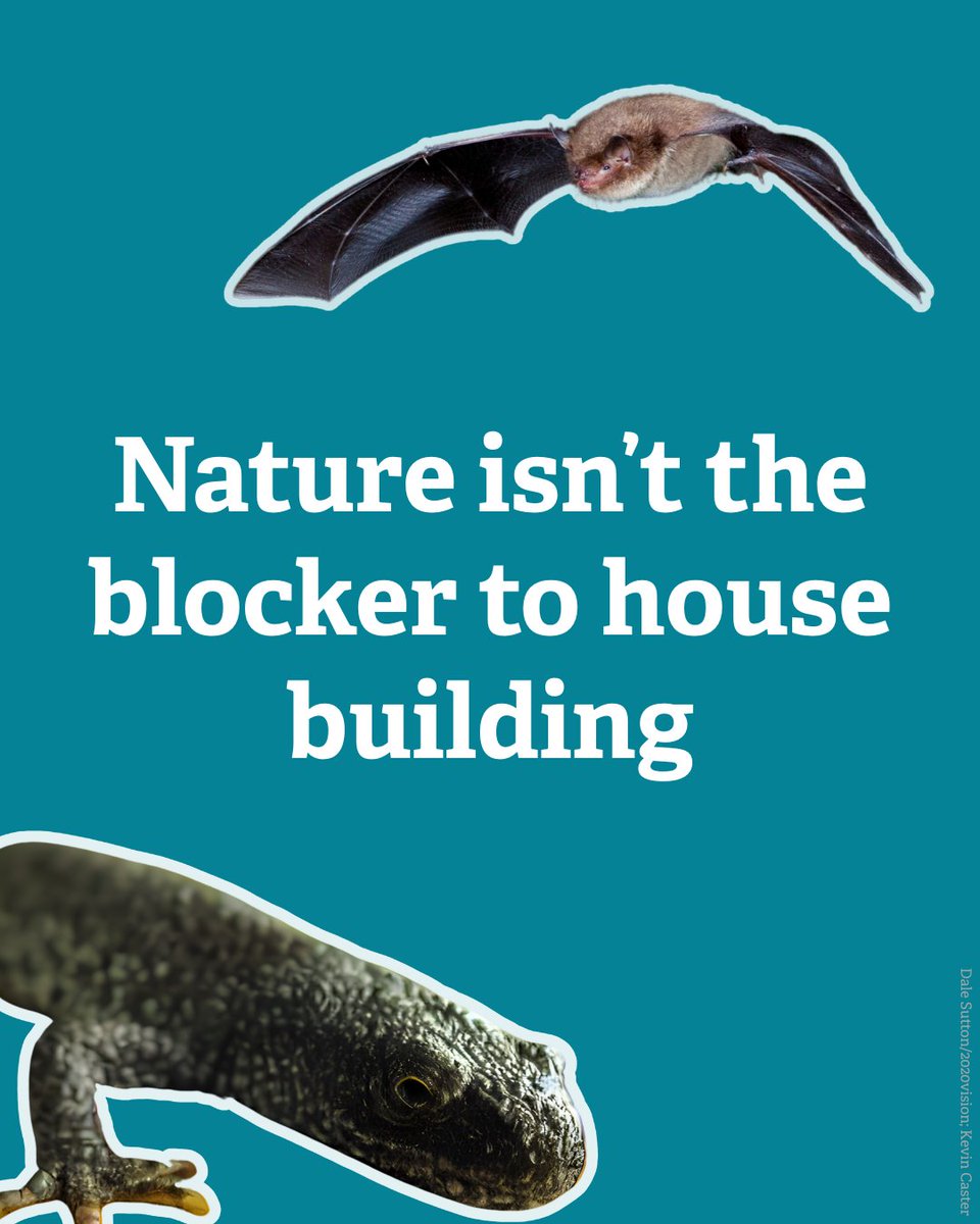 The Wildlife Trusts tweet media