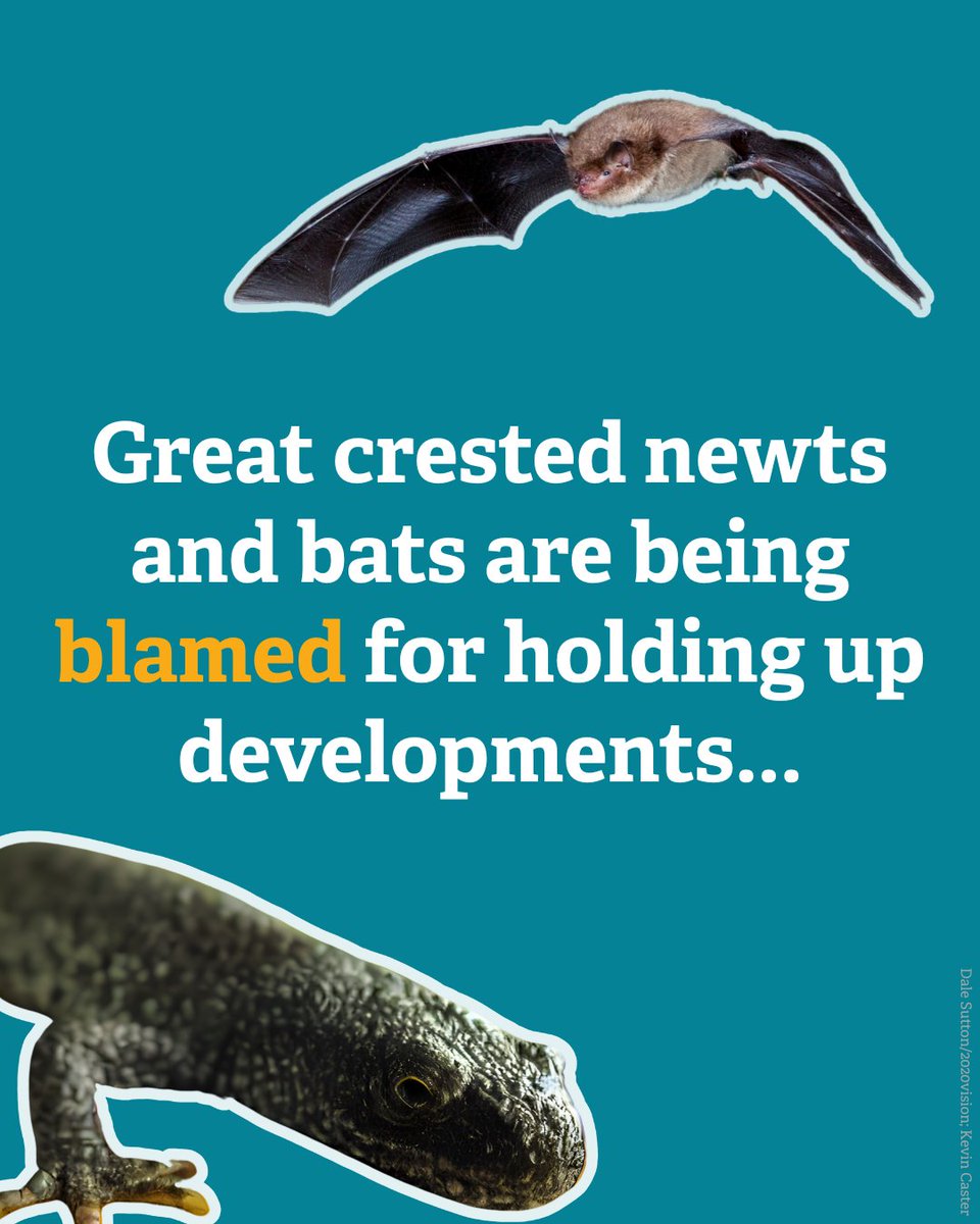 The Wildlife Trusts tweet media