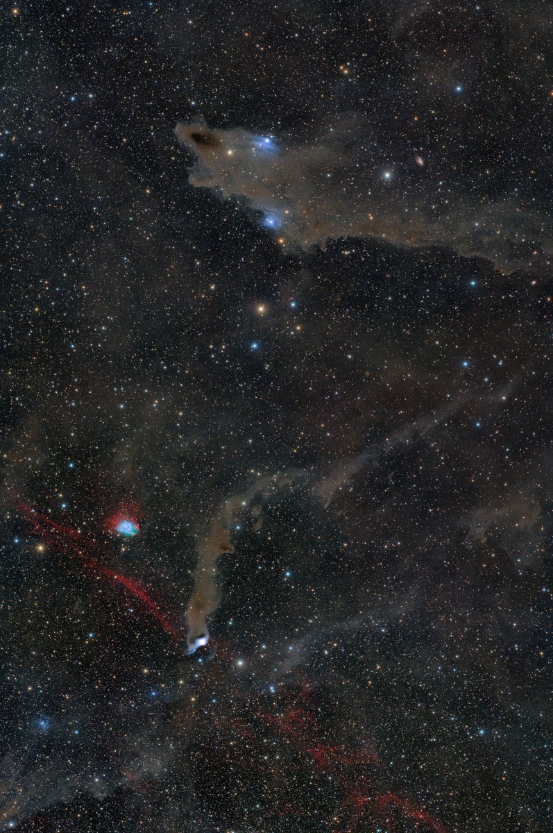 宇宙サメ
ナローとノーマルの合わせ技
もうちょい撮り増ししたかったけどとりあえずこれで完成とします！
#vdB149 #vdB150 #LDN1235 #シャーク星雲
x.com/Ecitsuj15/stat…