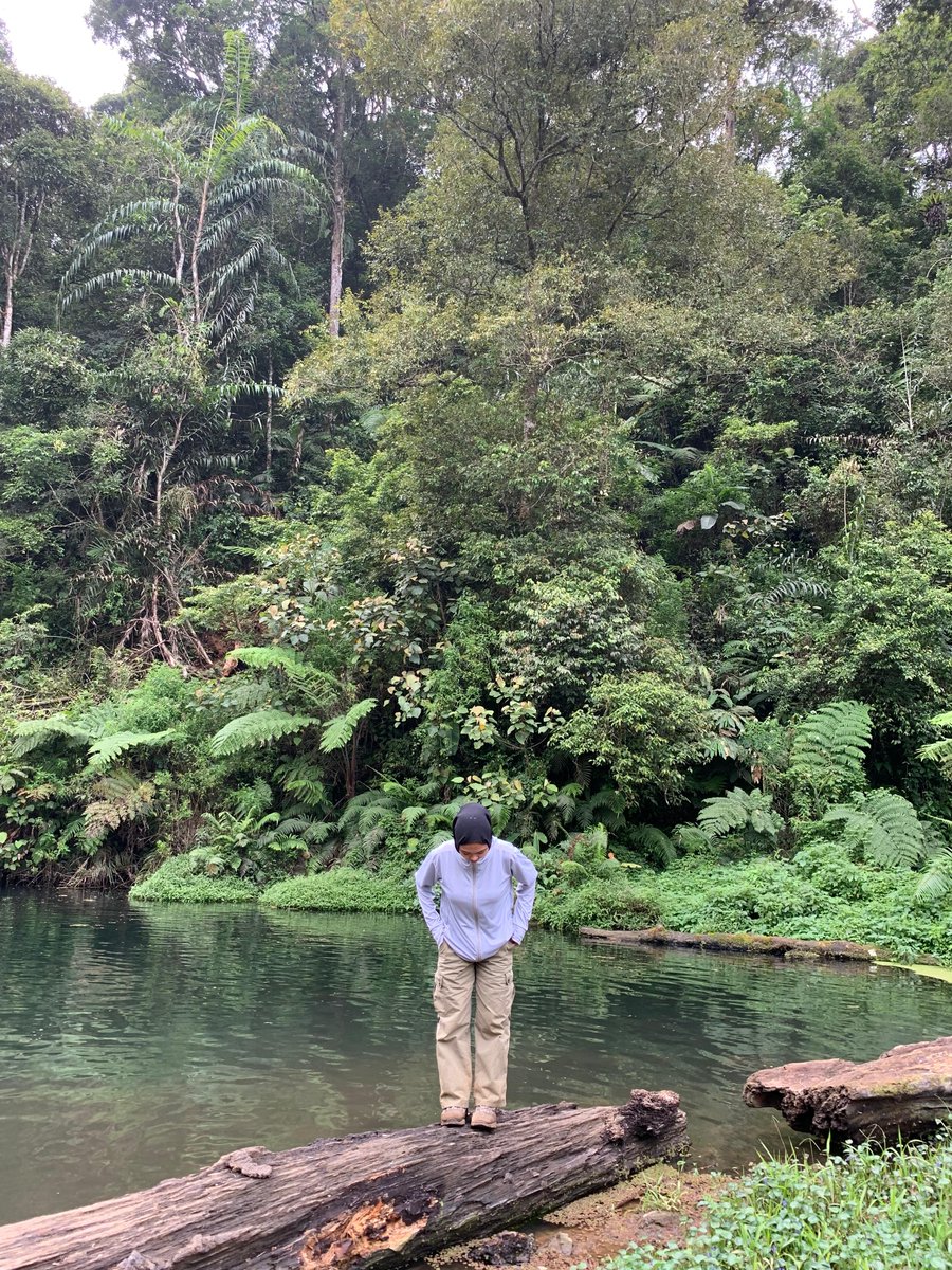 amsidamsra (@harasipaa) on Twitter photo 