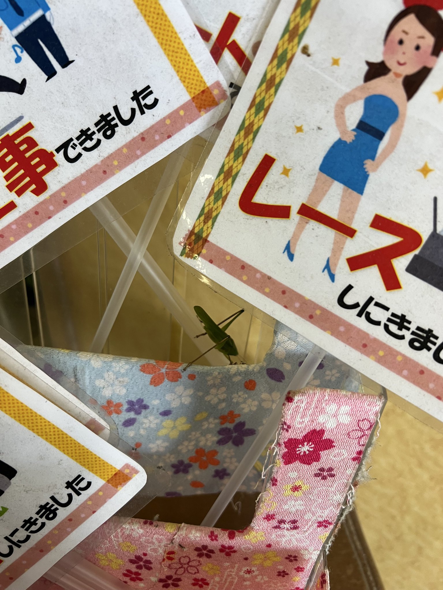 さっきー FAT エフエーティー XX-PACKER F32311-SN02 サンダル SHAKA