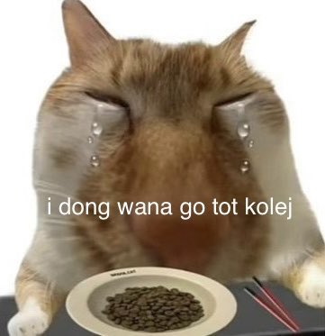 undeftd's tweet photo. me when i realize i actually have to attend and study at the university i begged God for https://t.co/3brbdhPUSV