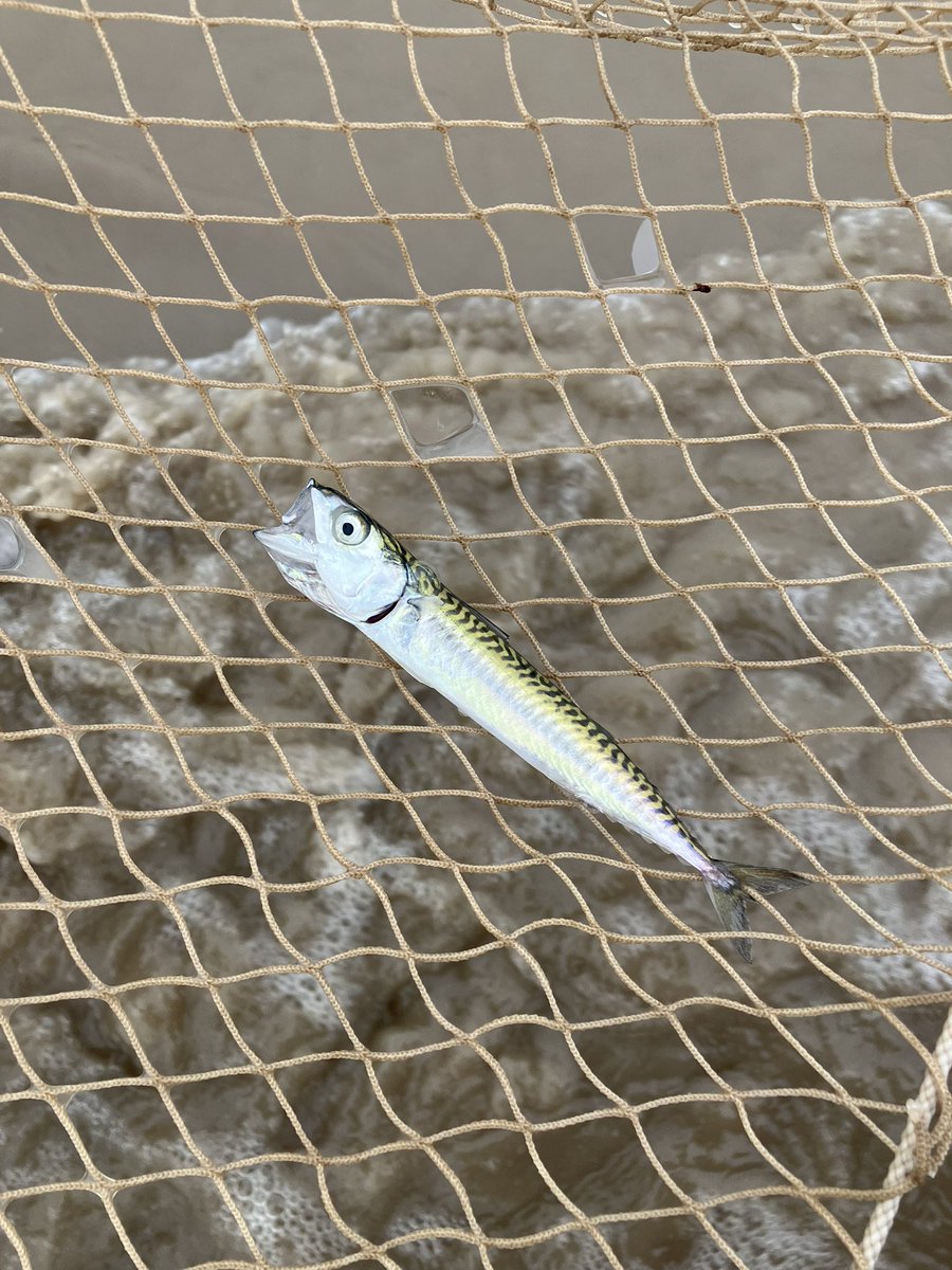 Matt Hart tweet media