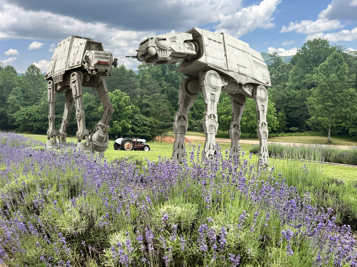 Only a REAL Star Wars fan will see it…

#StarWars #StarWarsAndSmile #swtwt