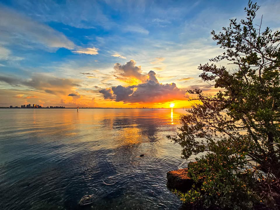 Been on a run of great sunrises/sunsets. Here was the scene shortly after 7 AM. 📷 Matt Leland Hiatt at Ballast Point in South #Tampa