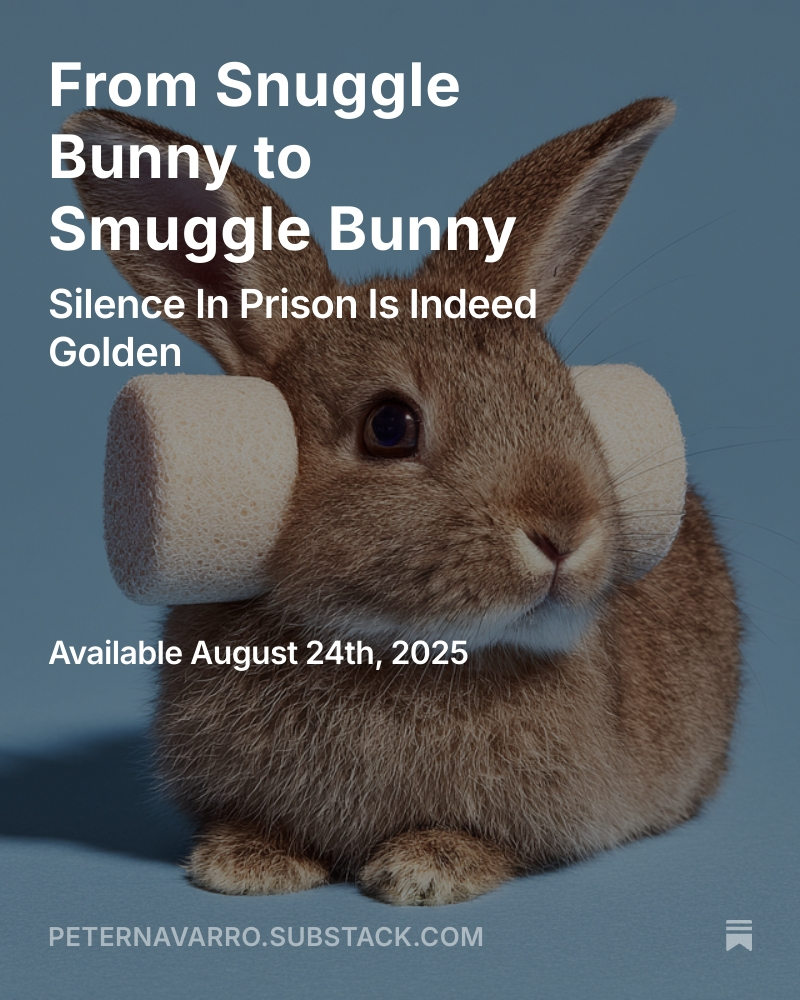 From Snuggle Bunny to Smuggle Bunny.   Survival came down to foam earplugs — and love.

Catch the rest of the prison vignette for a big laugh on the Substack.  CLICK HERE: bit.ly/45wET0h