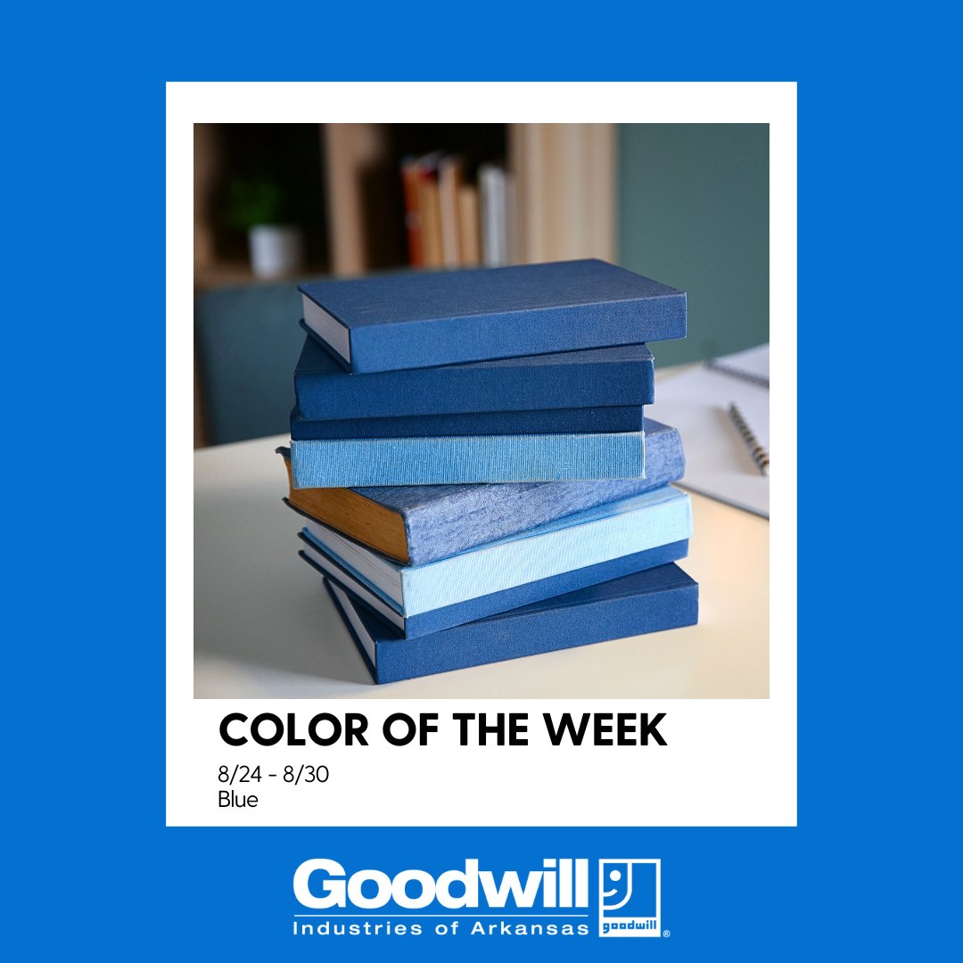 The color of the week is BLUE! All items with blue tags are 50% off. 🩵📘🐳 #HappyThrifting