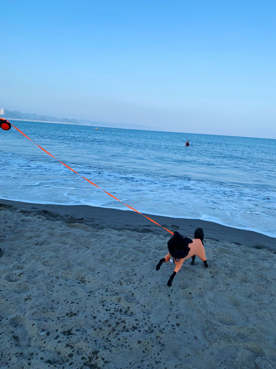 浜辺ダッシュ　#犬走り部