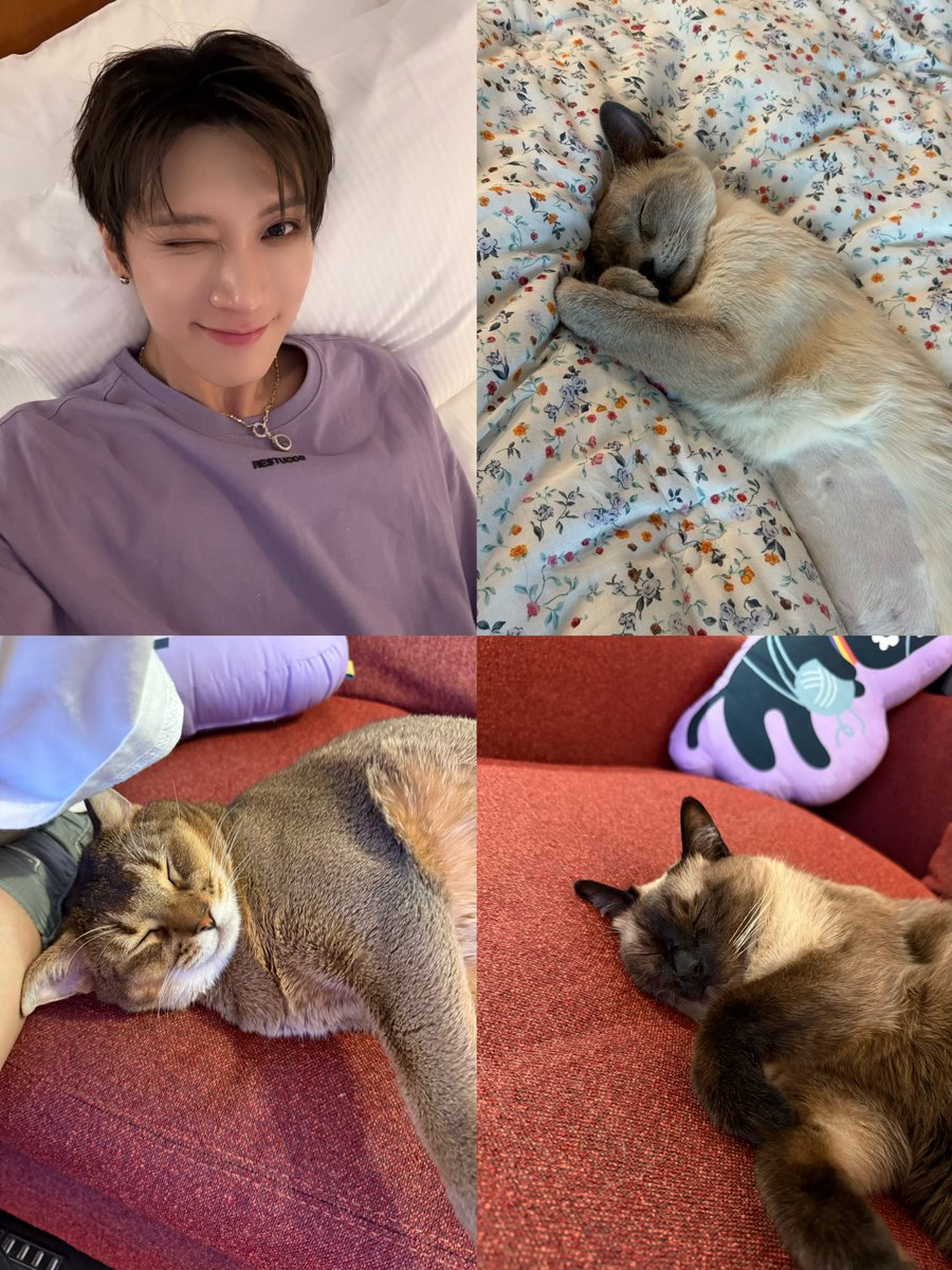 โฮรรรร ปะป๊าเค้าถ่ายลูกๆมาอวดตามสัญญาด้วย แถมใส่เสื้อม่วงอีกต่างหาก ถ้านี่ไม่ใช่คนที่รักเราที่สุดㅠㅠㅠㅠㅠㅠㅠㅠㅠ