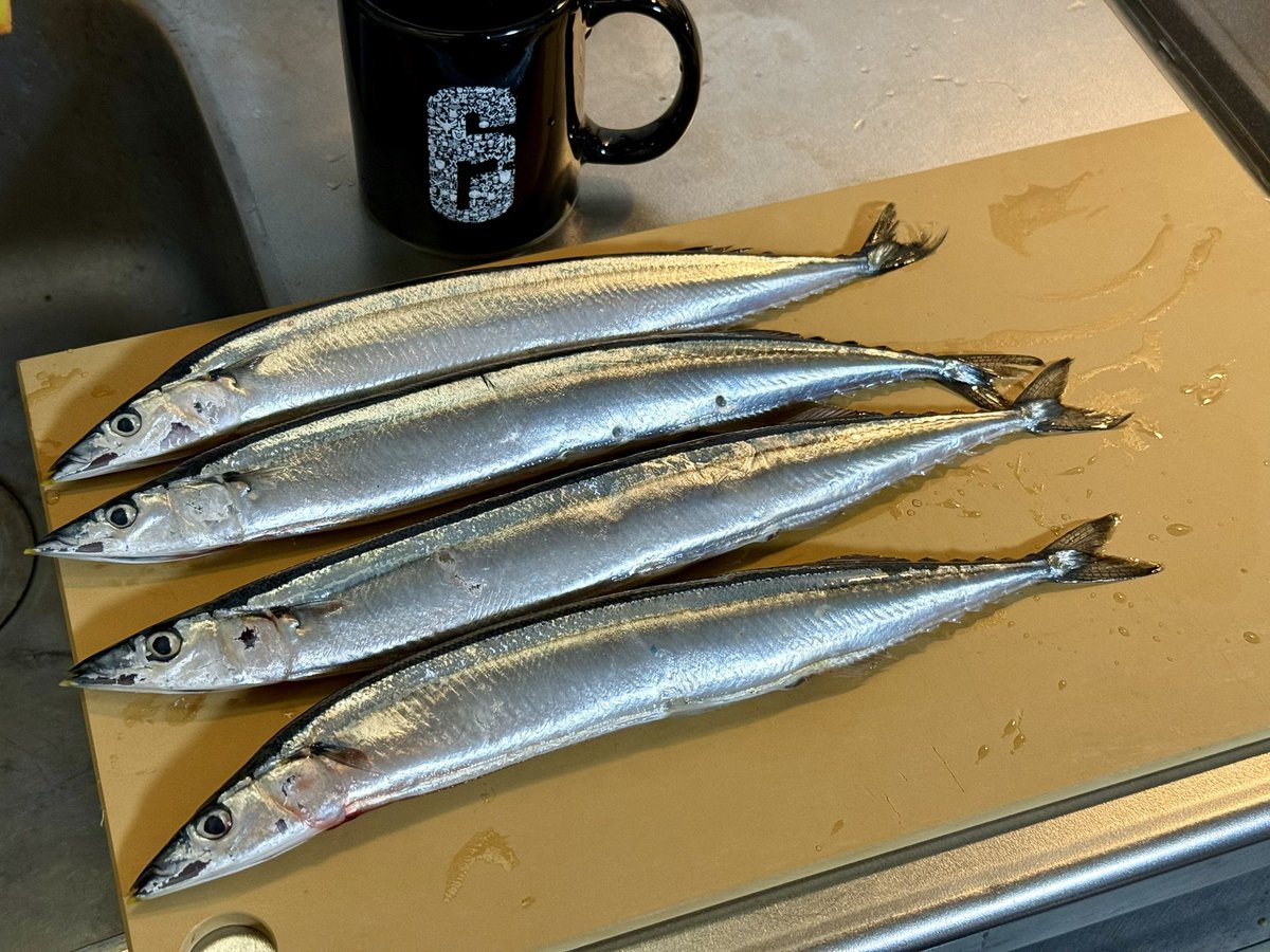 TyamEpp's tweet photo. 大きい秋刀魚がたくさんお店に並んでて嬉しい
秋刀魚、パックおつまみ、新潟のお酒、もろもろ吉池で調達
釧路帰る再来週に時化たりしないでくれ🙏 https://t.co/61zmx9Whss