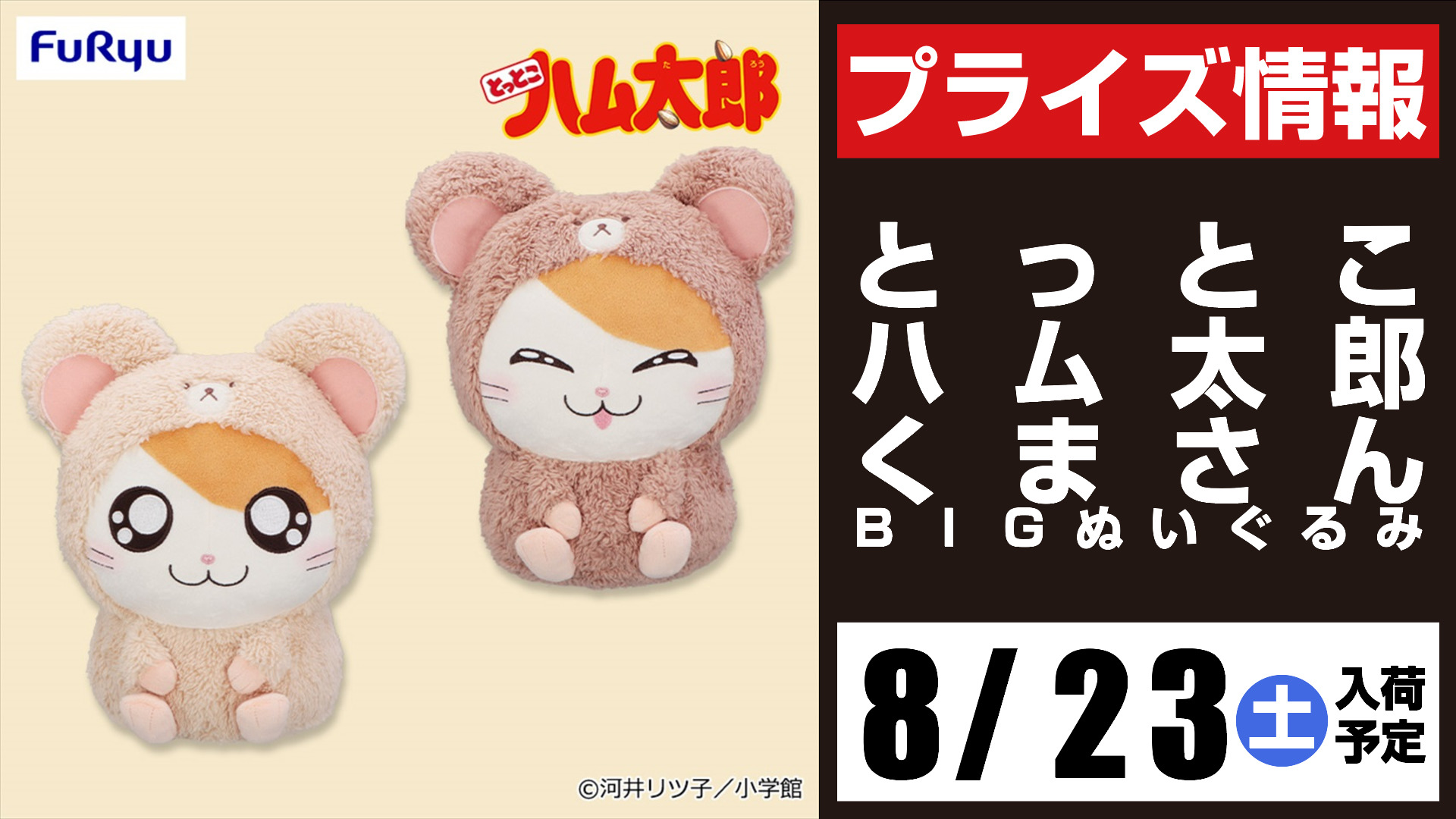 GENERATIONS - 【即購入可能】午前０時、キスしに来てよ ぬいぐるみ・BIG＊SEGA限定／送料込 SHIBUYA HACHI ぬいぐるみS ハチ｜タカラトミーアーツぬいぐるみ
