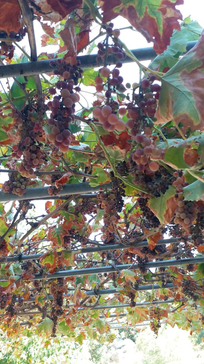 bitmeyen.isler  ugrasmaca