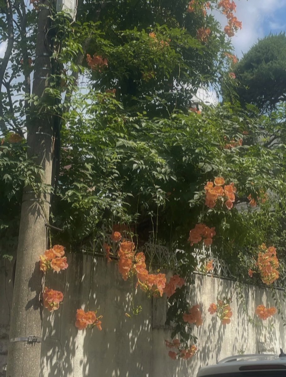 나는 내일부터 우산을 갖고 다닐 거야
혹시 모르는 거잖아
울고 있는 네가 나에게 쏟아질지
그 여름 씌워주지 못했던 사랑이 이번 여름에는 네 발 아래 고일지