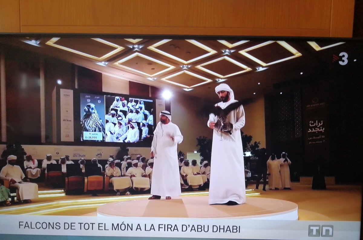 Avui, TN-Migdia de <a href="/som3cat/">3Cat</a>: Ramon Pellicer ens parla d'una "fira de falcons a Abu Dhabi". I quina és la notícia, per a TV3? Pellicer ens ho diu: "Un falcó espanyol, n'ha estat una de les aus" (!). I això què té a veure amb Catalunya? Res, però és la ideologia d'aquest senyor.