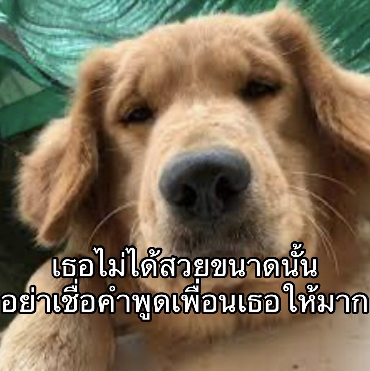 อวยกันเอง ทั้งโลกสวยกันอยู่สองคน