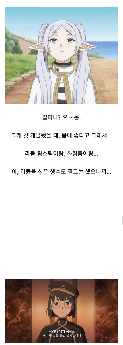 프리렌 : 인간의 단체가 만든 자격이니 면허니, 너무 자주 바뀌잖아...