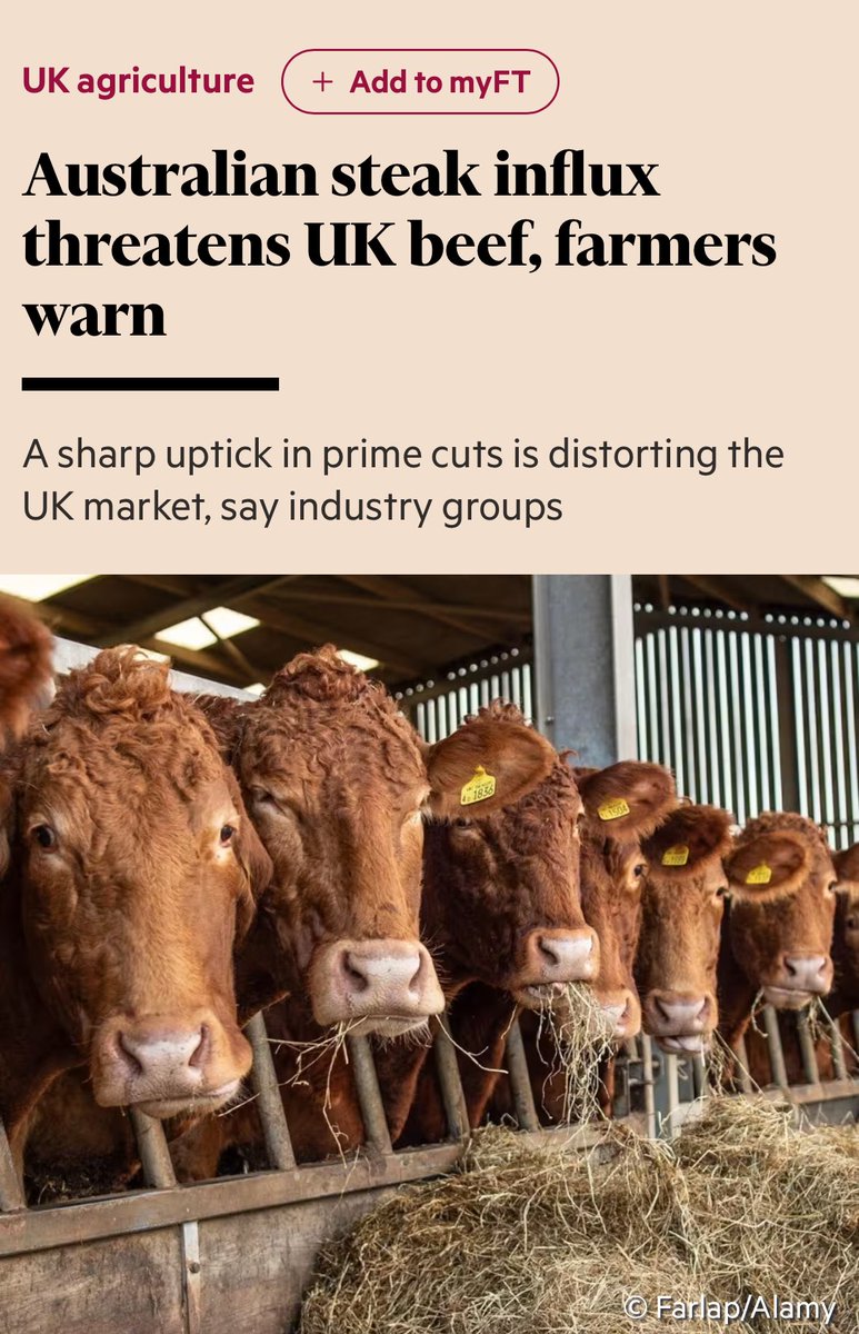 Competition is distorting the market is a great take