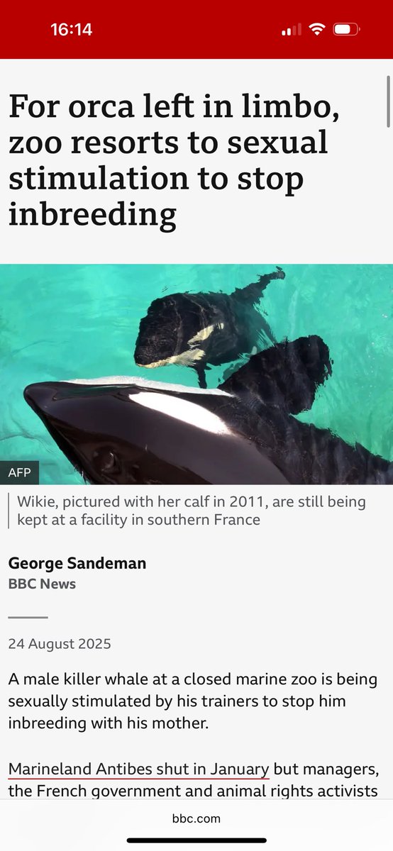 tide_breakers's tweet image. TideBreakers in BBC news. Read the full article here 👉🏻 share.google/eIWChh4xpBivtY…