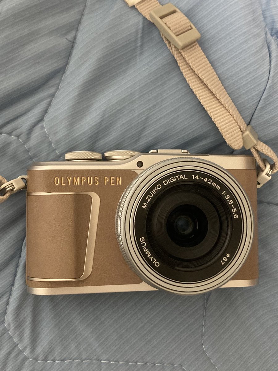 今回の撮影からカメラを変えたんですけども(友人から買い取ったオリンパスのPENです)、めっちゃよく撮れます。
楽器と一緒で、最初に安物で試行錯誤したから分かる有り難みかもしれません。