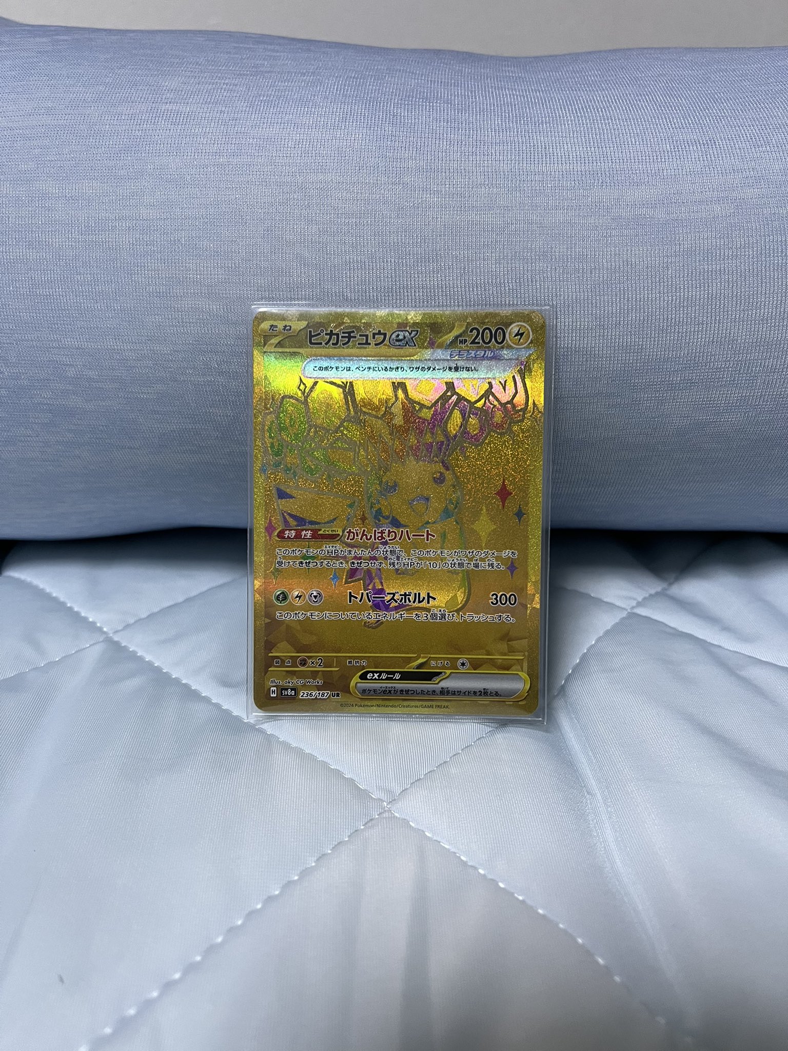 ポケモン - 【限定商品】5月17日　✨ポケモン✨　爆アド　まとめ売り✨プロフ要確認✨ ポケポケ (@ippaizenryoku) / X