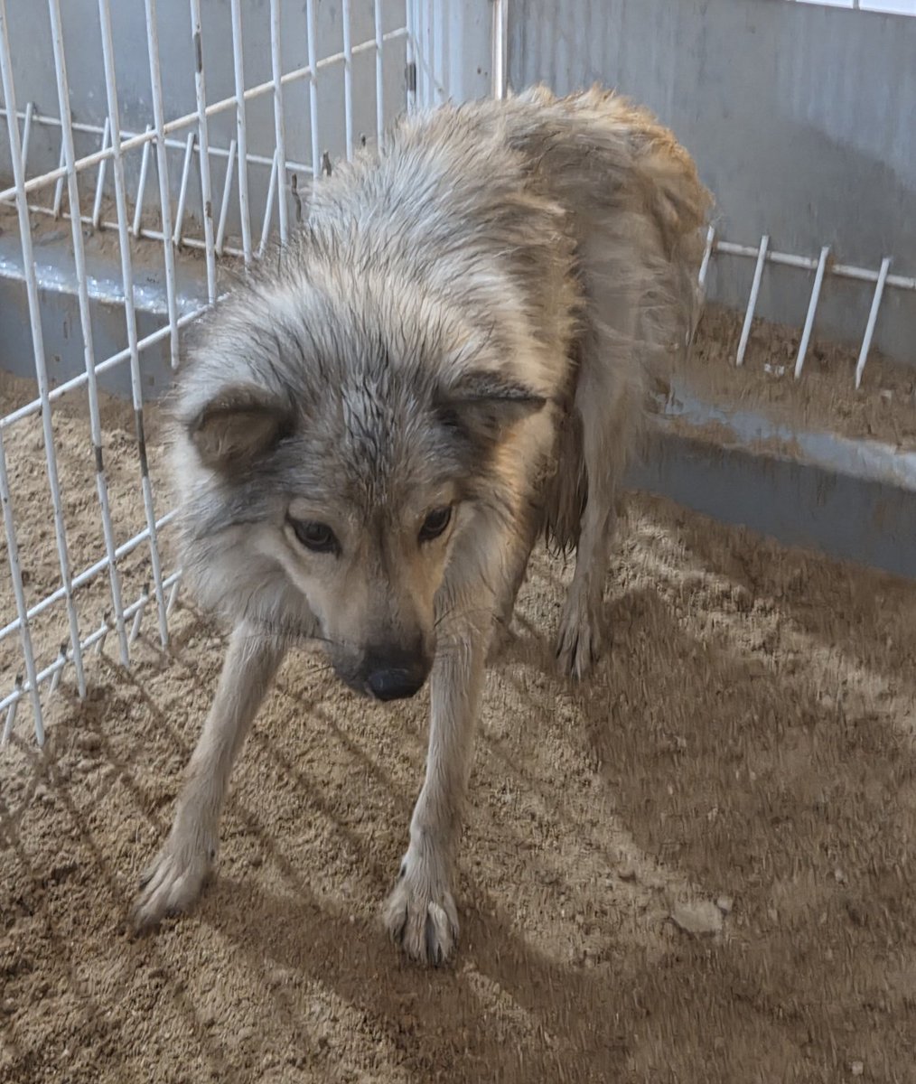 사랑 받고 행복해 했으면 좋겠다 ㅠ