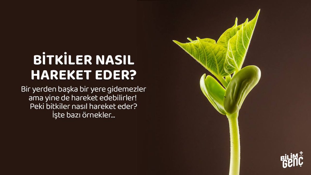 bilimgenc's tweet photo. 🌴Bitkiler nasıl hareket eder? 🤔
Kaydır...
#bitki #bitkiler #botanik #biyoloji #bilim https://t.co/kwgPZECDQX