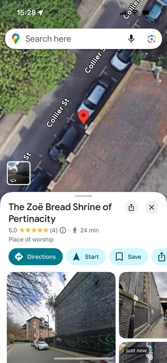 emotional support displacer beast tweet media