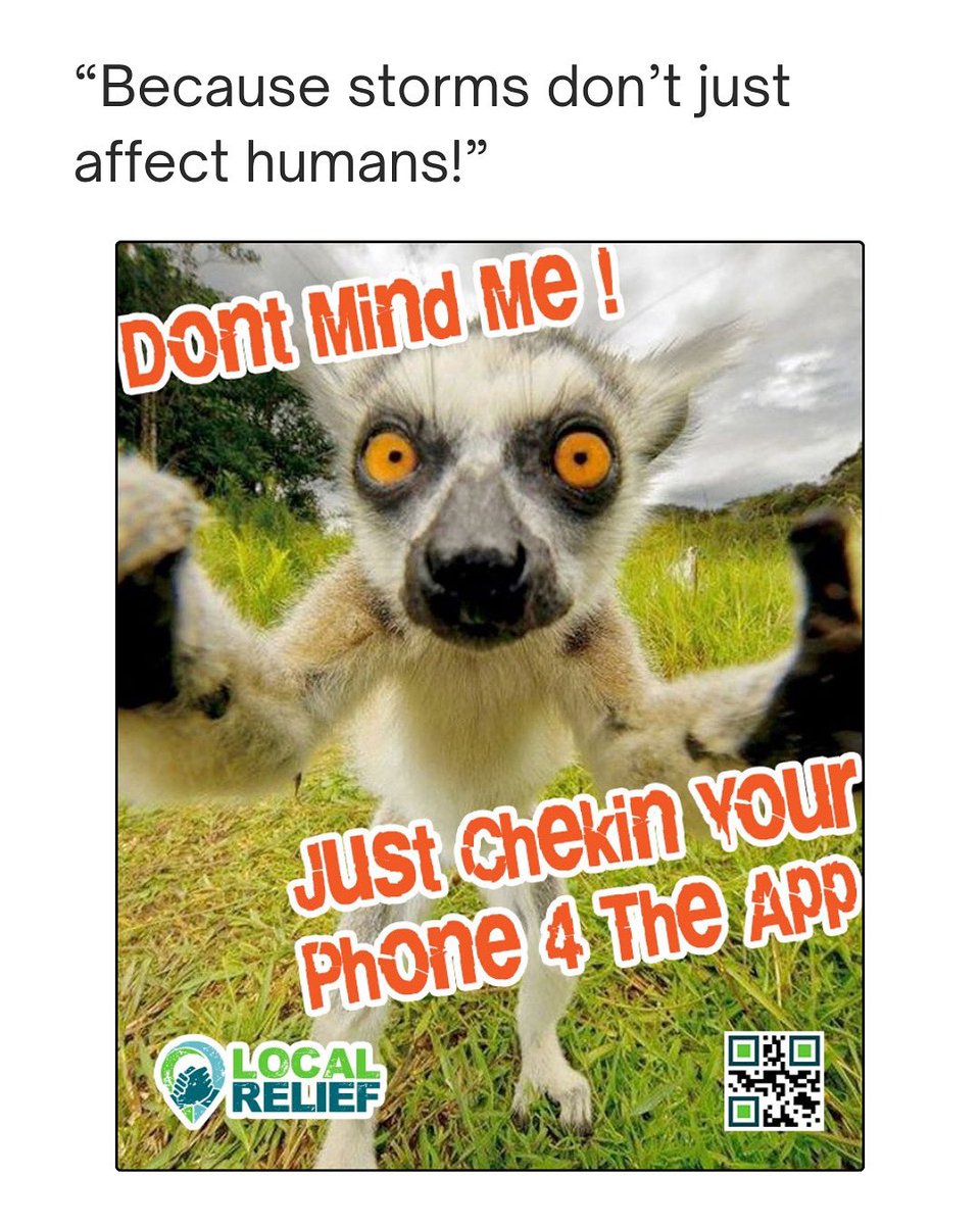localrelief's tweet photo. Yes, even lemurs want you to download the Local Relief app!💚

#localrelief #DisasterManagement #DisasterRelief #DisasterRecovery #MutualAid #meme #funny https://t.co/1VstMzn4L4