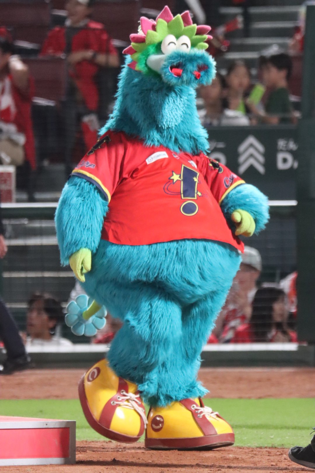 銀キツネ　まとめ７点　カープ カープ - Search / X