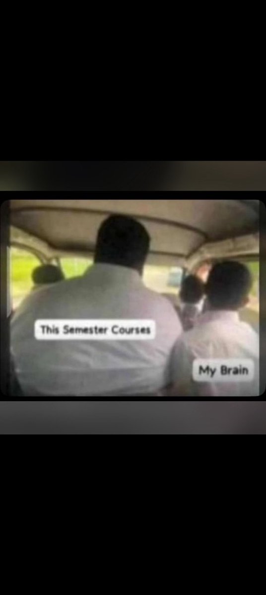 MeMe_GuRu tweet media