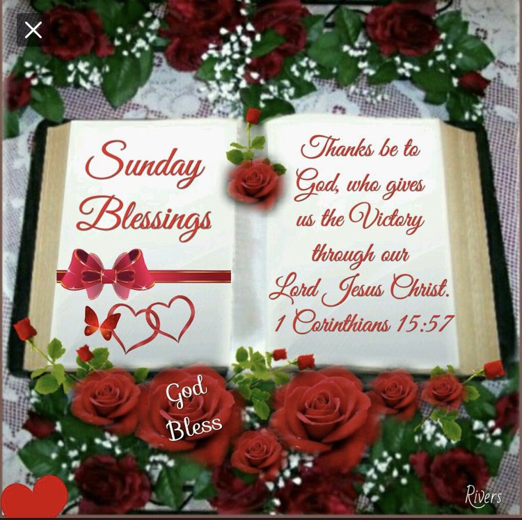 Ray Smith - Ministry Of Angels (@raysmithmoa) on Twitter photo #SundayBlessings
#HappySunday #XFriends #StandWithAmerica
#StandWithTexas #StandWithIsrael
Ministry Of Angels <a href="/RaySmithMOA/">Ray Smith - Ministry Of Angels</a>
#MinistryOfAngels <a href="/DollmasterNancy/">Nancy Springer-Smith</a> #DjMetalMinister #HaveYouHadYourAngelFixToday #SundayBlessings
#HappySunday #XFriends #StandWithAmerica
#StandWithTexas #StandWithIsrael
Ministry Of Angels <a href="/RaySmithMOA/">Ray Smith - Ministry Of Angels</a>
#MinistryOfAngels <a href="/DollmasterNancy/">Nancy Springer-Smith</a> #DjMetalMinister #HaveYouHadYourAngelFixToday
