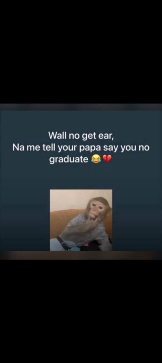 MeMe_GuRu tweet media