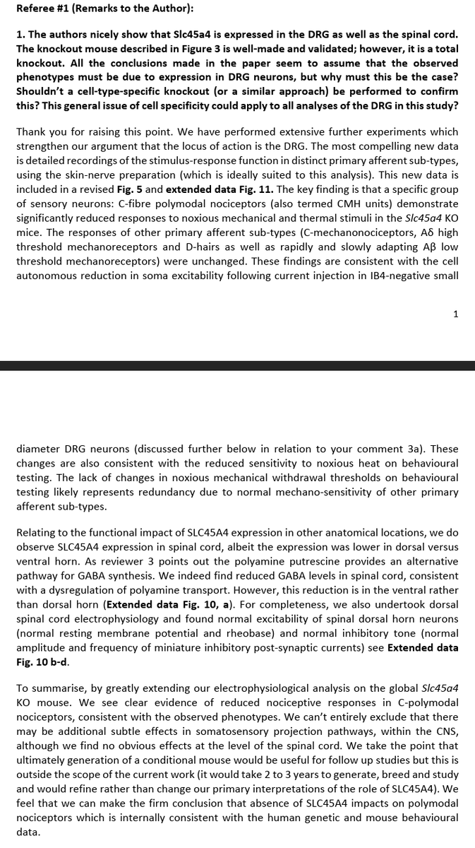 ⚡️GREG_CORDER⚡️ tweet media