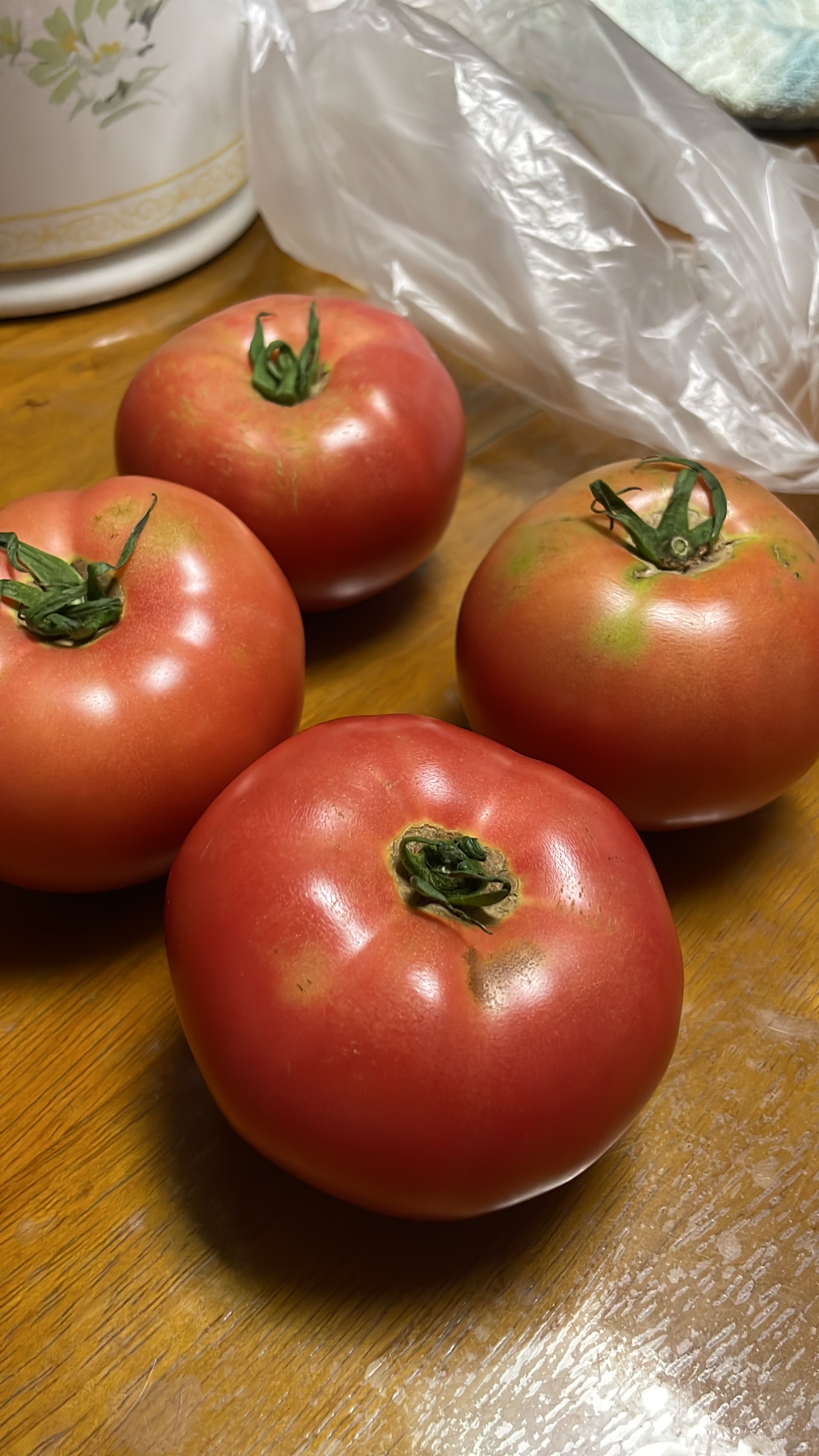 フジサワさん on X: 