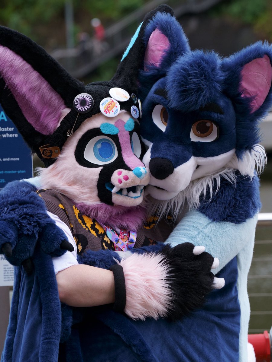 cotton 🪼@ FurDU tweet media