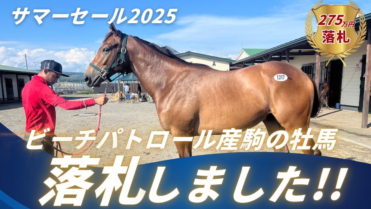 盗まれた馬 ジェイ on X: 