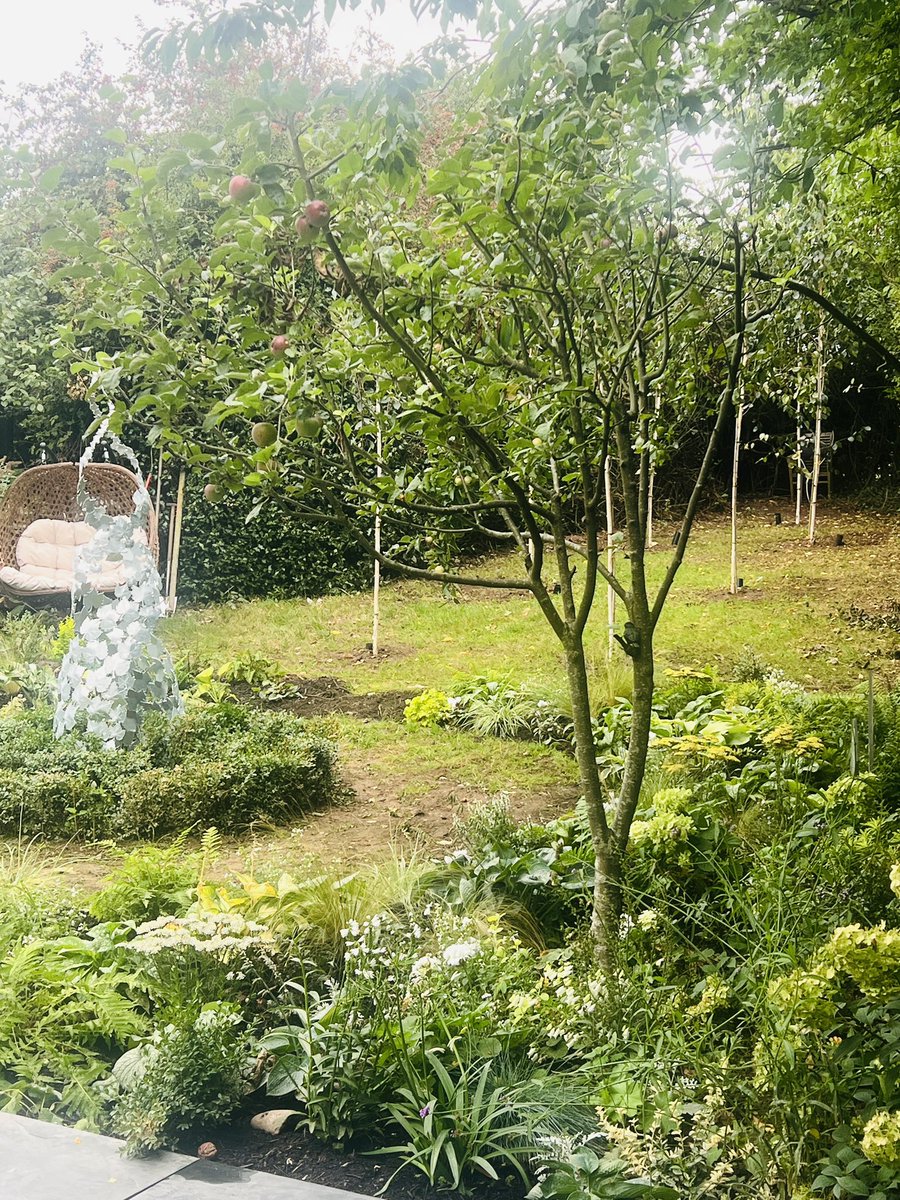 The potting shed tweet media