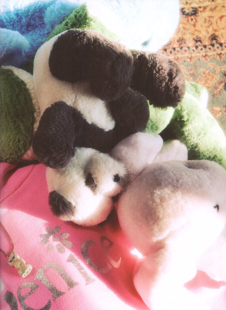 디아이콘 B type #사쿠야 개인컷 스캔