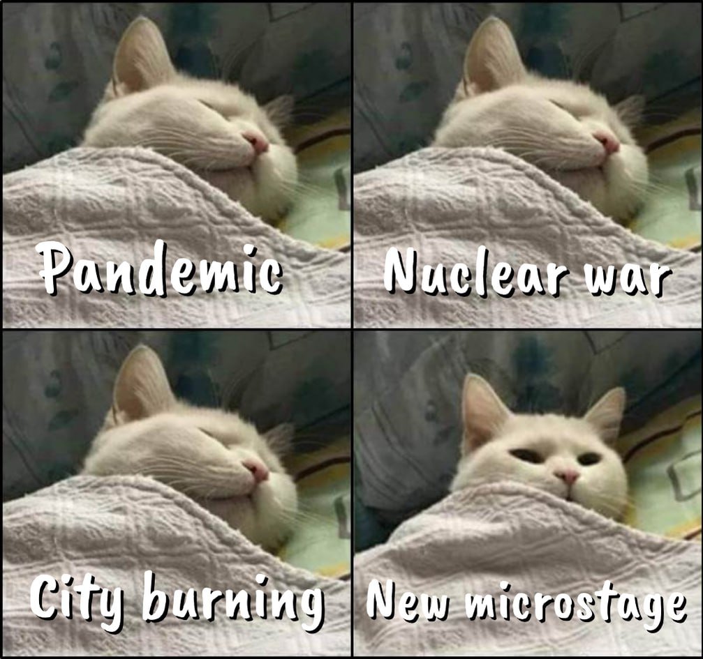 When the only news that matters is another $XYZ microstage🌞