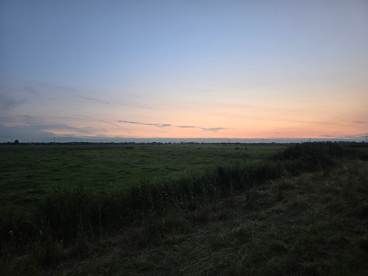 __usercall's tweet image. every waking moment