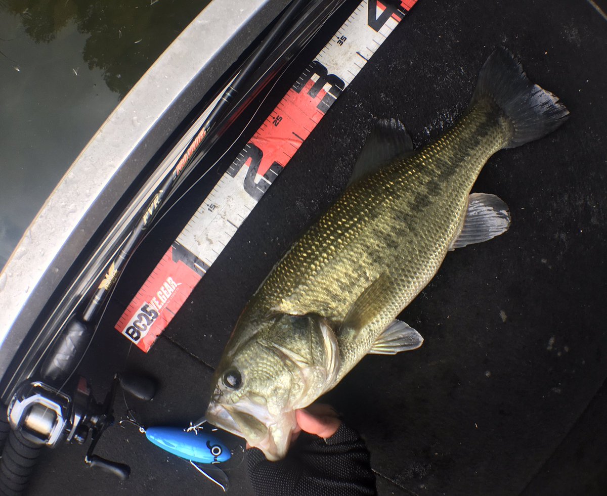 Nana⭐︎無音取引⭕️様 リクエスト 6点 まとめ商品 ななやウェブショップ